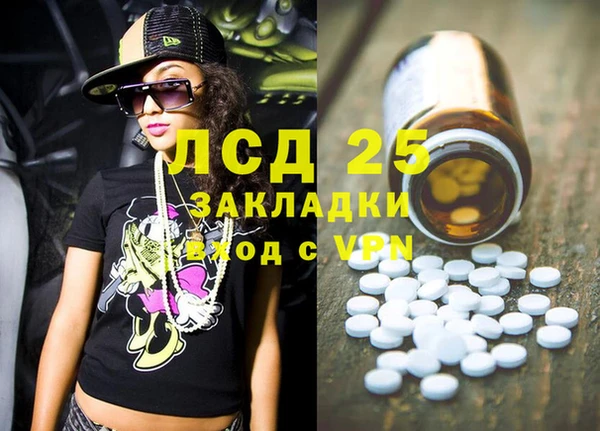 ГАЛЛЮЦИНОГЕННЫЕ ГРИБЫ Вязники