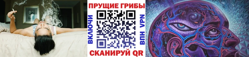 Псилоцибиновые грибы Magic Shrooms  ОМГ ОМГ сайт  Оренбург 