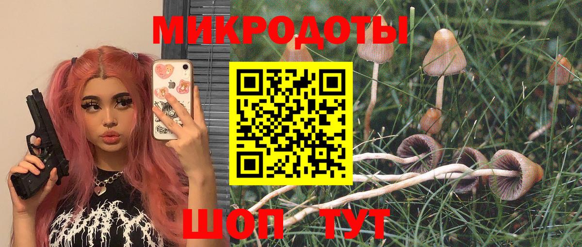Галлюциногенные грибы Magic Shrooms  Галлюциногенные грибы мицелий  Оренбург  наркота  Вход с VPN 